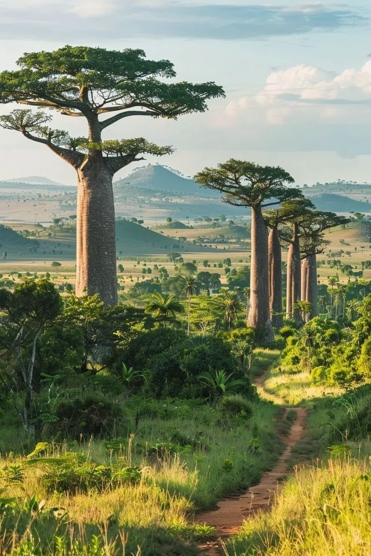 Madagascar
