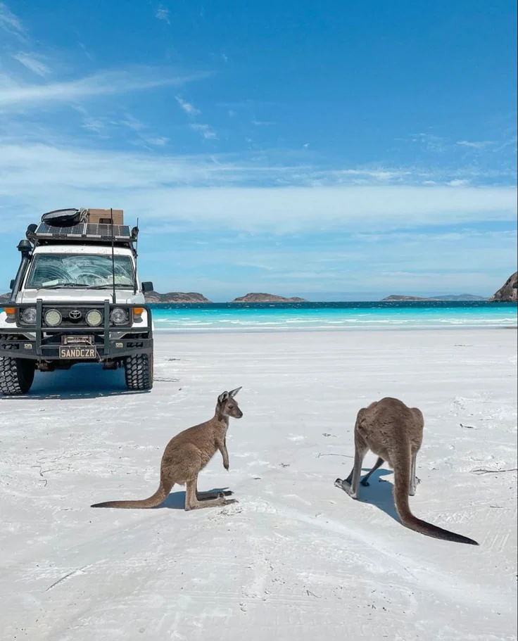 SEJUR / VACANTE Australia / Noua Zeelandă
